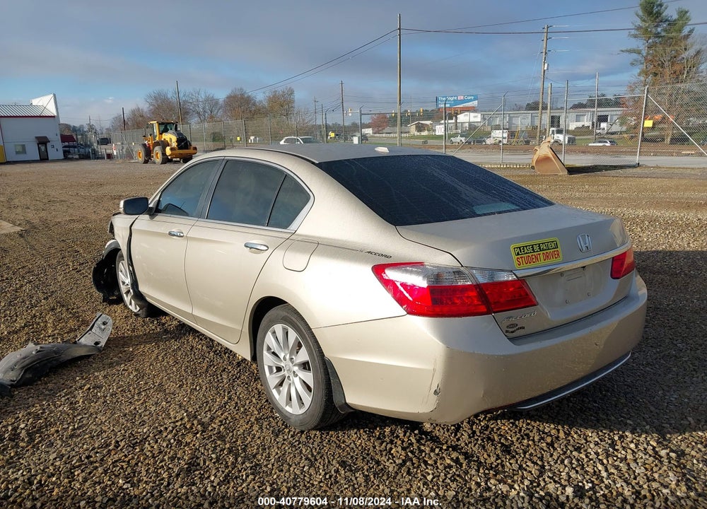 2013 HONDA ACCORD EX-L VIN: 1HGCR2F8XDA124547