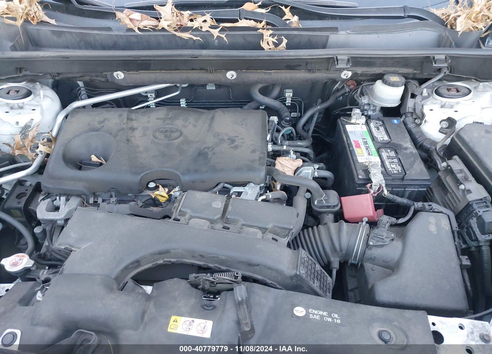 2019 TOYOTA RAV4 XLE VIN: JTMP1RFV9KD012355