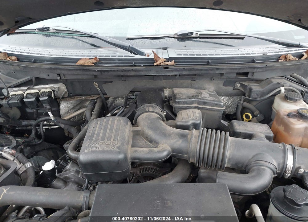 2010 FORD F-150 FX4/HARLEY-DAVIDSON/KING RANCH/LARIAT/PLATINUM/XL/XLT VIN: 1FTFW1EVXAFB30644