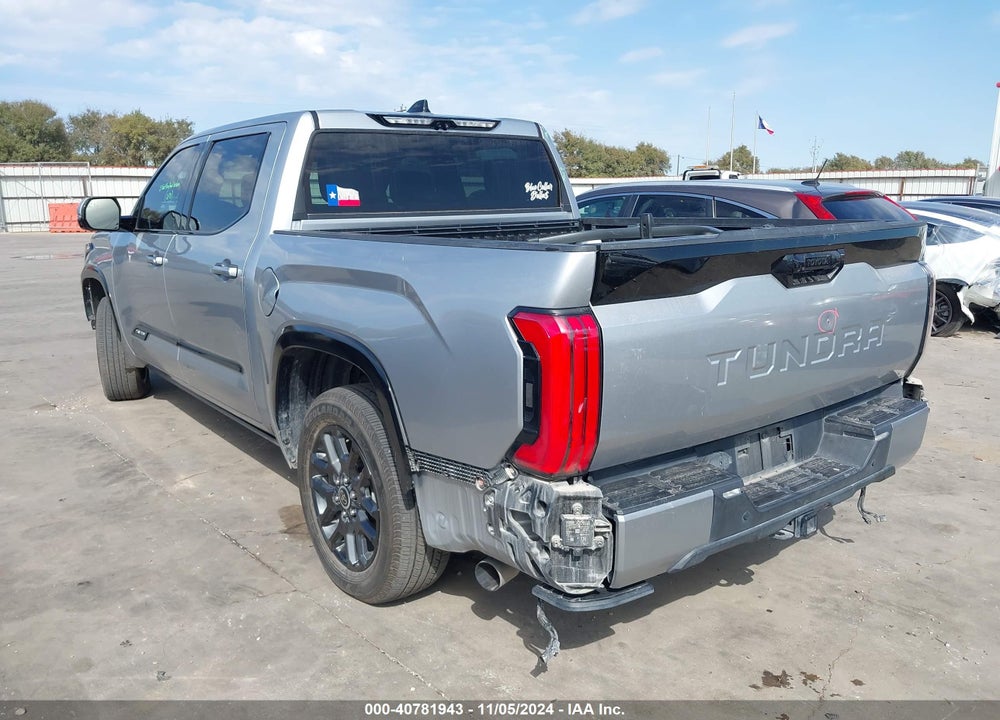 2022 TOYOTA TUNDRA PLATINUM VIN: 5TFNA5AB8NX002738