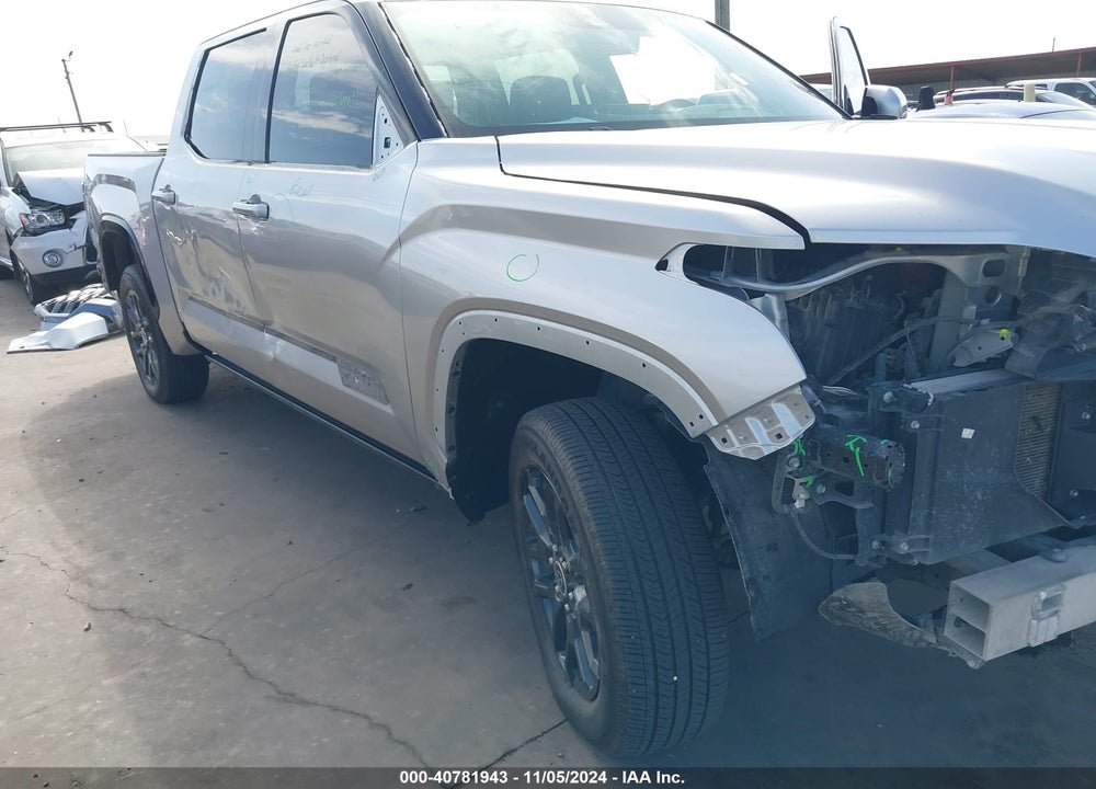 2022 TOYOTA TUNDRA PLATINUM VIN: 5TFNA5AB8NX002738