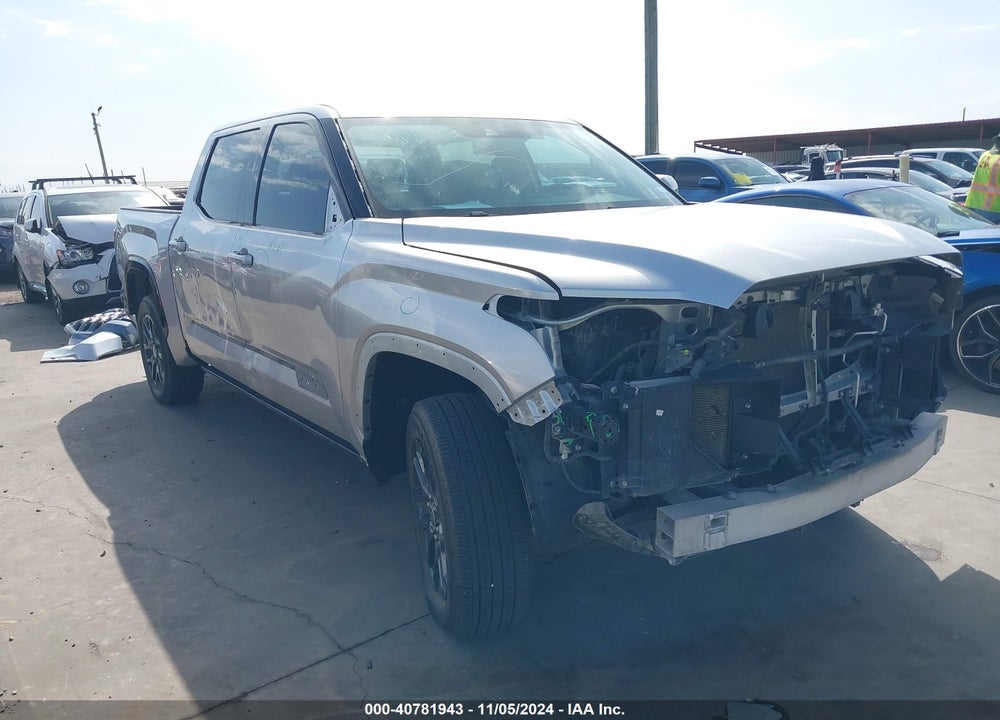 2022 TOYOTA TUNDRA PLATINUM VIN: 5TFNA5AB8NX002738
