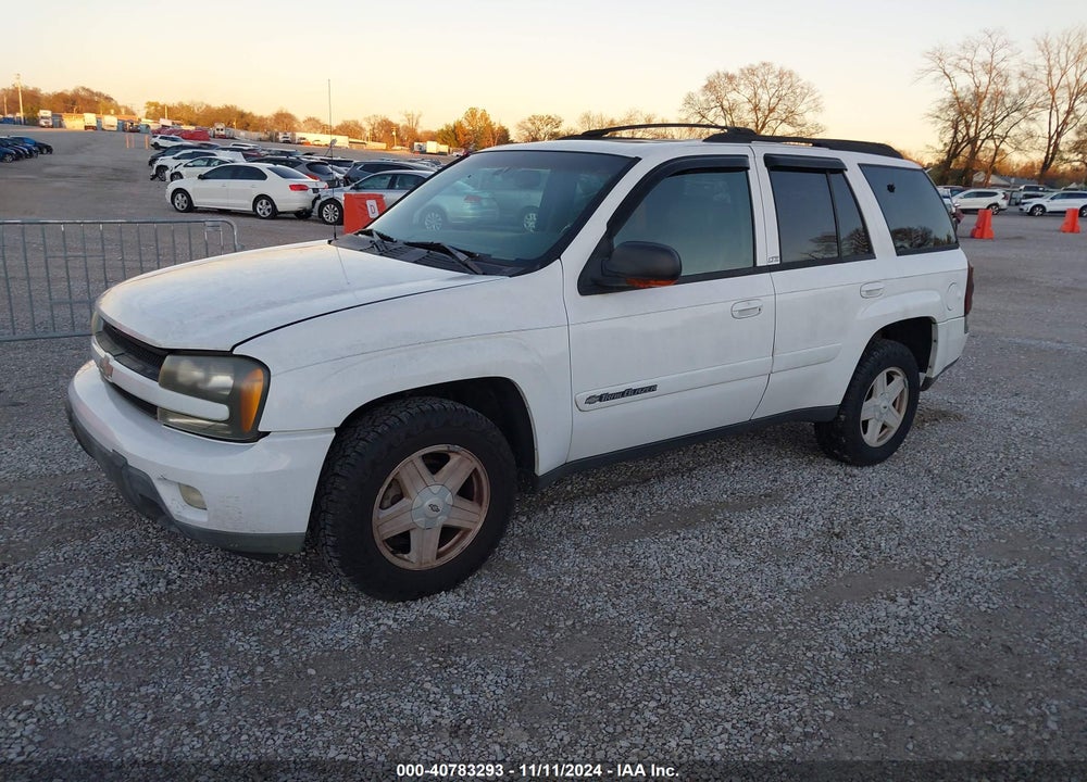 2002 CHEVROLET TRAILBLAZER LTZ VIN: 1GNDT13S422174096