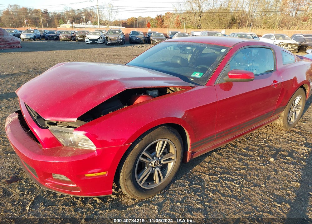 2013 FORD MUSTANG VIN: 1ZVBP8AM5D5218431