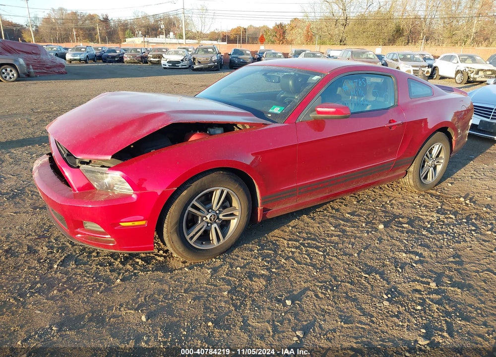 2013 FORD MUSTANG VIN: 1ZVBP8AM5D5218431