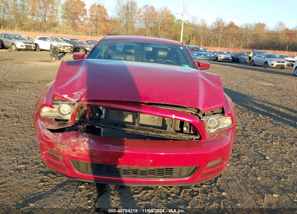 2013 FORD MUSTANG VIN: 1ZVBP8AM5D5218431