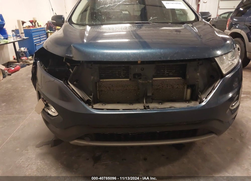 2017 FORD EDGE SEL VIN: 2FMPK4J89HBC56387