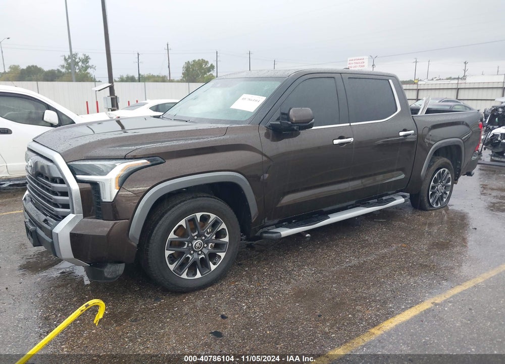 2023 TOYOTA TUNDRA LIMITED VIN: 5TFJA5AB5PX025783