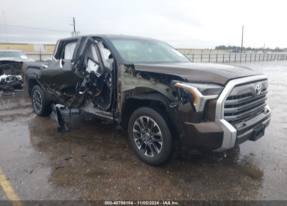 2023 TOYOTA TUNDRA LIMITED VIN: 5TFJA5AB5PX025783