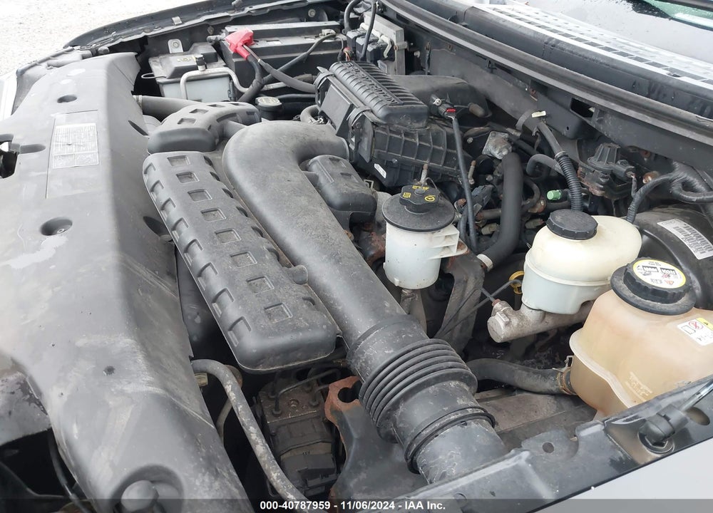 2006 FORD F-150 FX4/LARIAT/XL/XLT VIN: 1FTPX14556FA56544