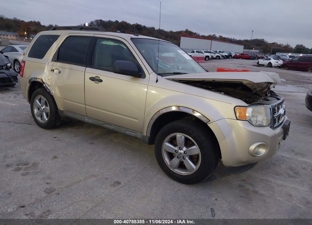 2011 FORD ESCAPE XLT VIN: 1FMCU0DG9BKC47562