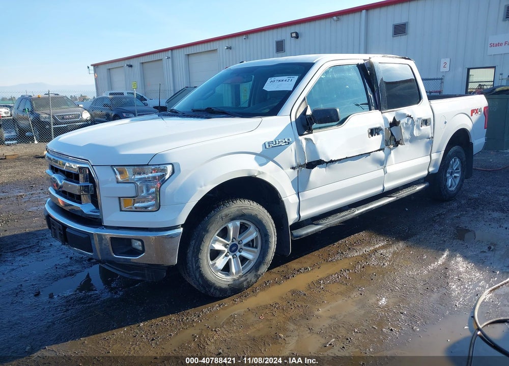 2016 FORD F-150 XLT VIN: 1FTEW1EF4GFA01067