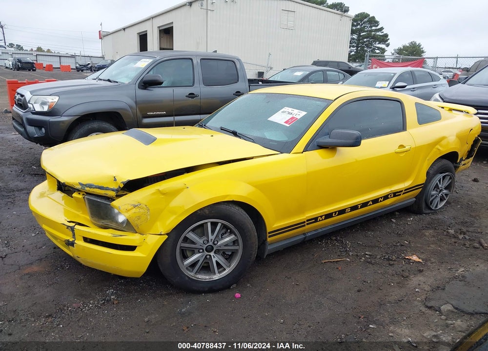 2005 FORD MUSTANG V6 DELUXE/V6 PREMIUM VIN: 1ZVFT80N955162003