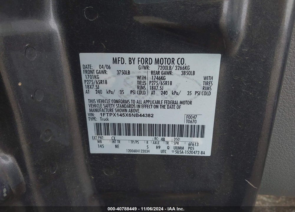 2006 FORD F-150 FX4/LARIAT/XL/XLT VIN: 1FTPX145X6NB44382