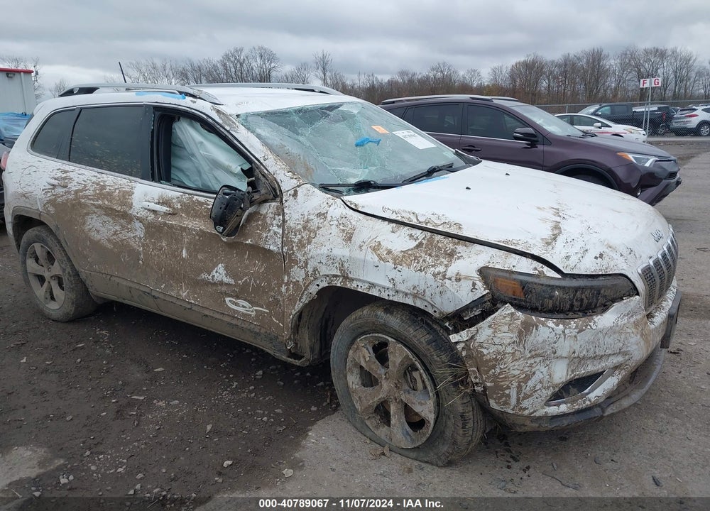 2019 JEEP CHEROKEE LIMITED 4X4 VIN: 1C4PJMDX6KD113960