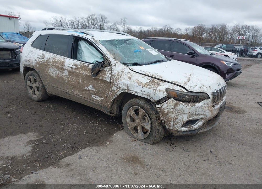 2019 JEEP CHEROKEE LIMITED 4X4 VIN: 1C4PJMDX6KD113960