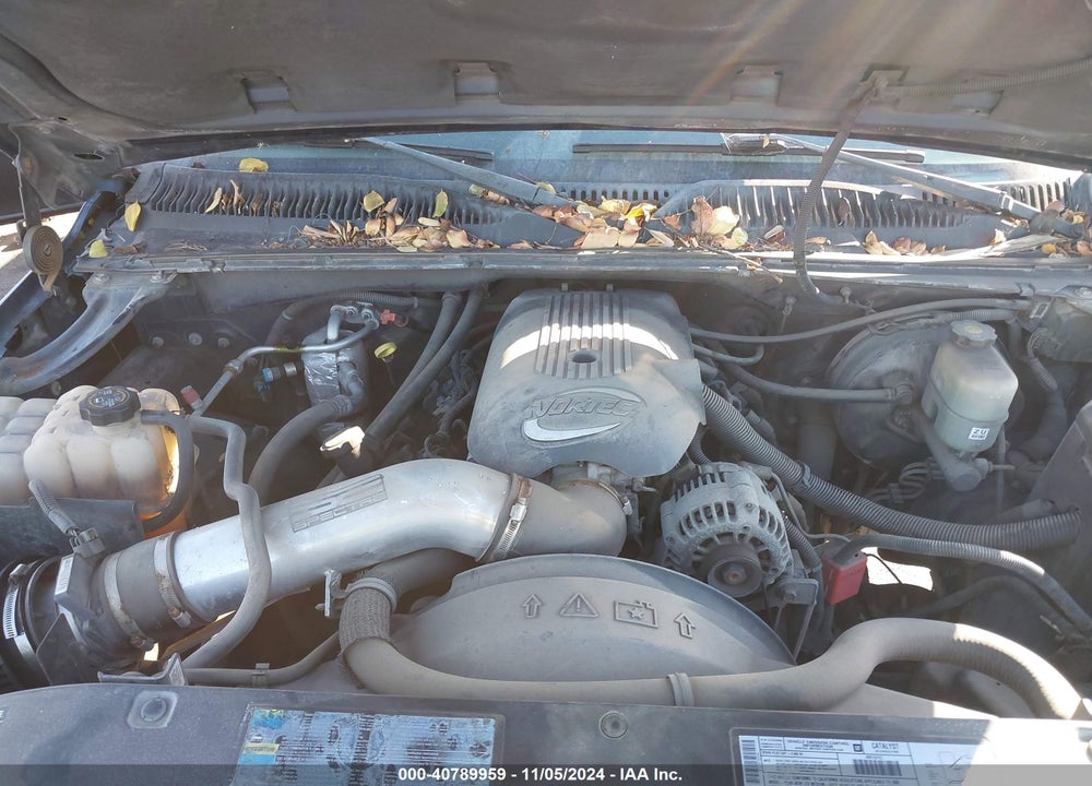 2002 CHEVROLET SILVERADO 1500 LS VIN: 2GCEC19VX21347845
