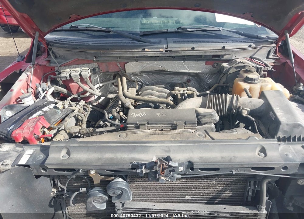 2013 FORD F-150 VIN: 1FTFX1EF4DKD19677