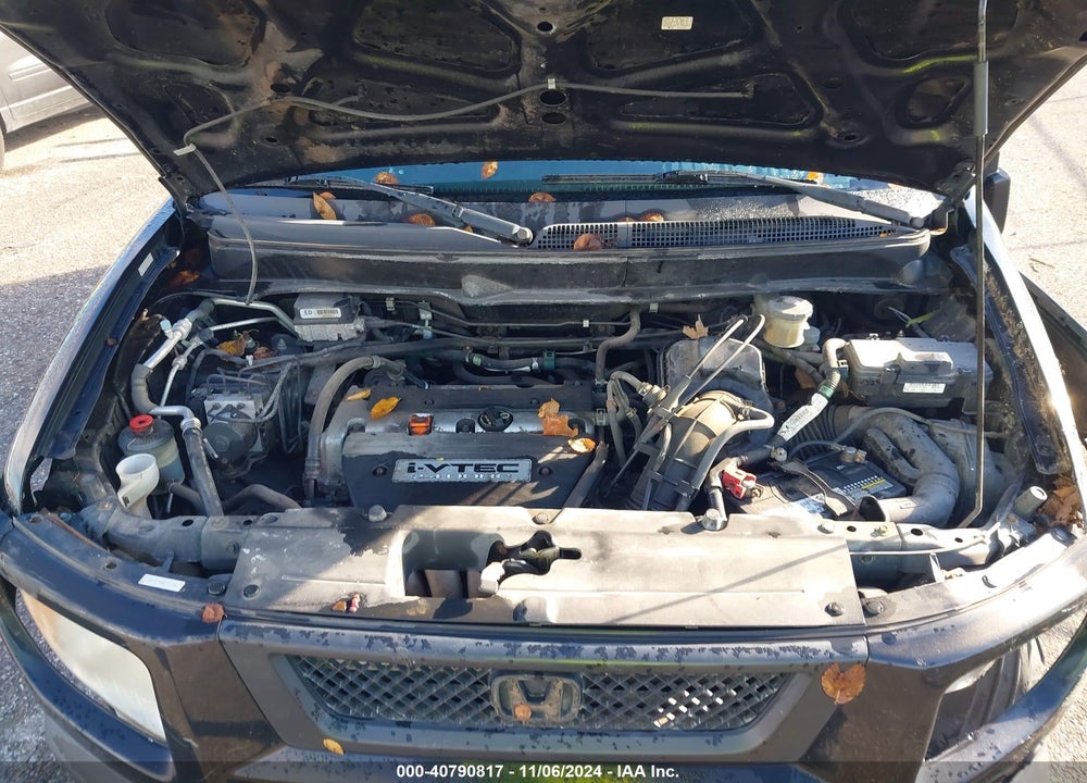 2006 HONDA ELEMENT EX-P VIN: 5J6YH27786L012201