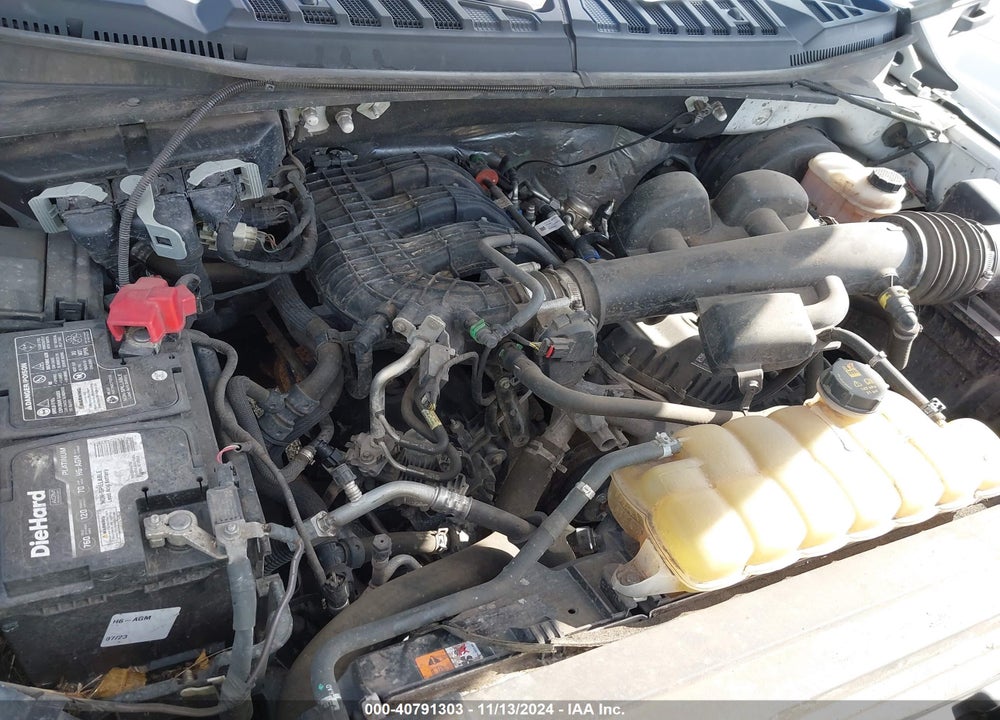 2019 FORD F-150 XL VIN: 1FTMF1CBXKKE51480