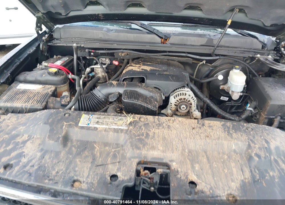 2009 CHEVROLET SILVERADO 1500 VIN: 1GCEK29JX9Z173377