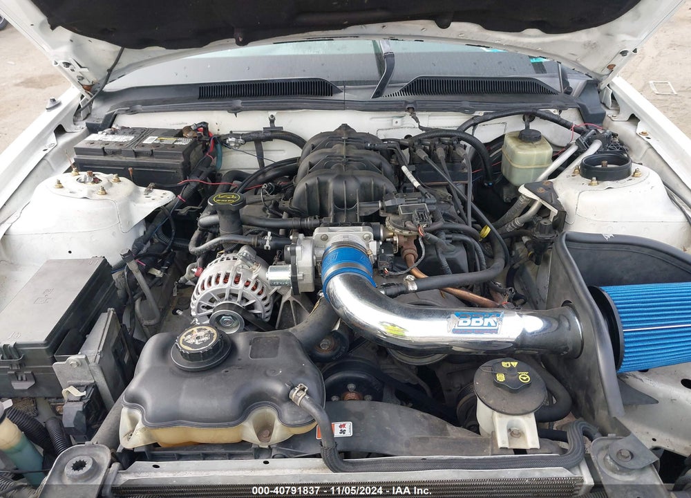 2005 FORD MUSTANG V6 DELUXE/V6 PREMIUM VIN: 1ZVFT80N755134717