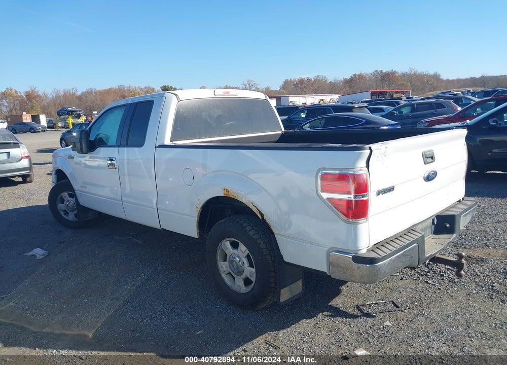 2011 FORD F-150 XLT VIN: 1FTFX1CT5BFA88450
