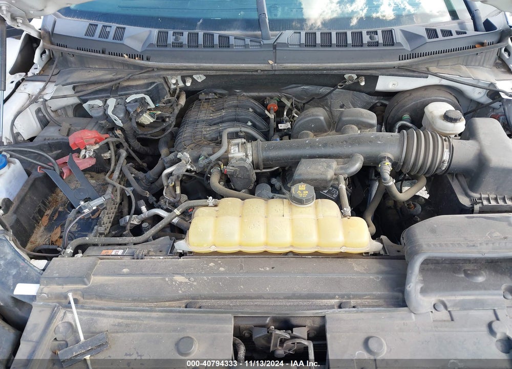 2019 FORD F-150 XL VIN: 1FTMF1CB9KKE51471