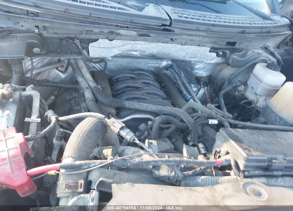 2012 FORD F-150 XLT VIN: 1FTFX1EF2CFA55821