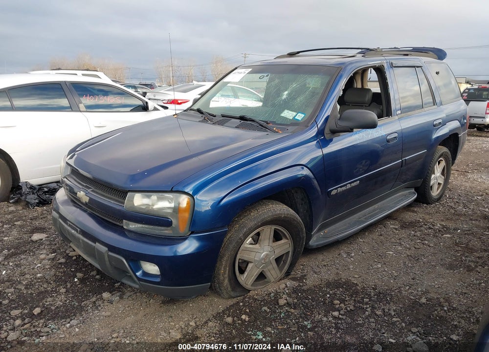 2002 CHEVROLET TRAILBLAZER LTZ VIN: 1GNDT13S622121853