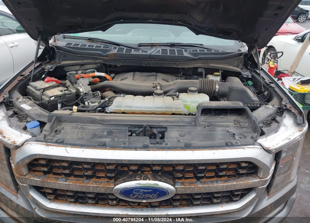 2023 FORD F-150 PLATINUM VIN: 1FTFW1ED3PFA27310