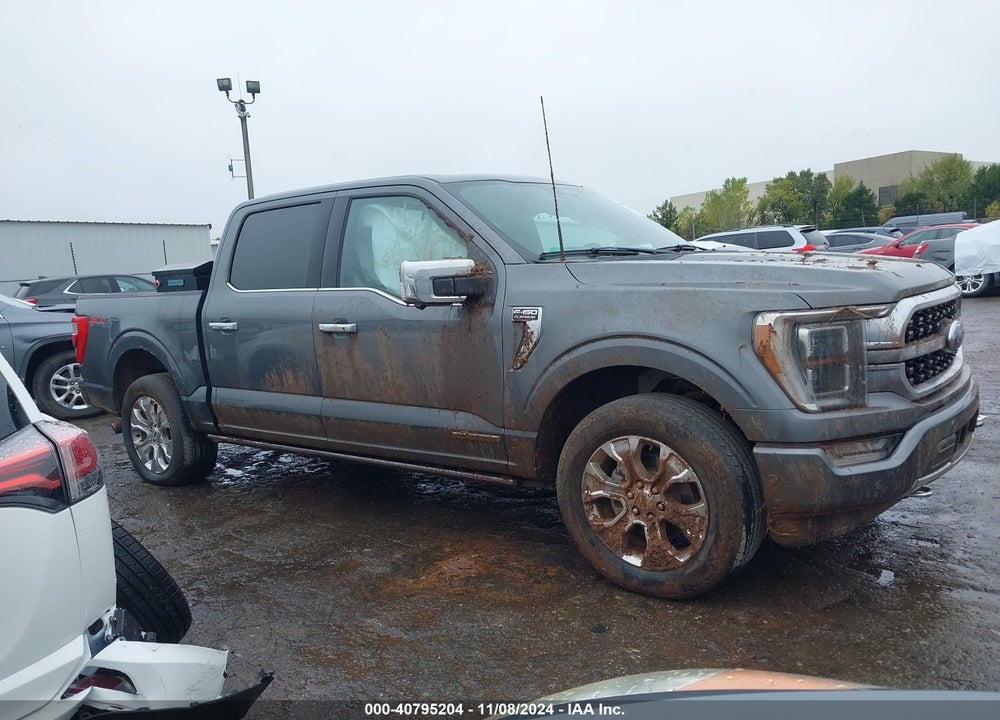 2023 FORD F-150 PLATINUM VIN: 1FTFW1ED3PFA27310