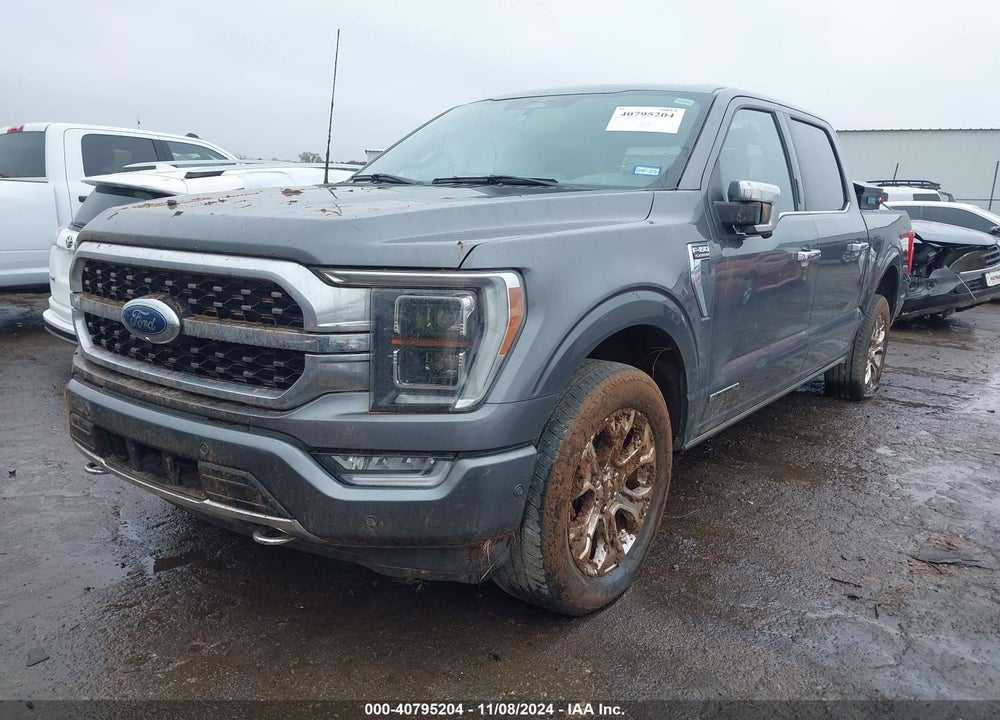 2023 FORD F-150 PLATINUM VIN: 1FTFW1ED3PFA27310