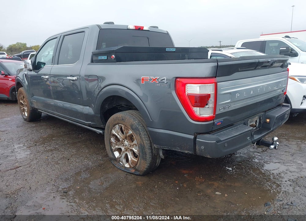 2023 FORD F-150 PLATINUM VIN: 1FTFW1ED3PFA27310