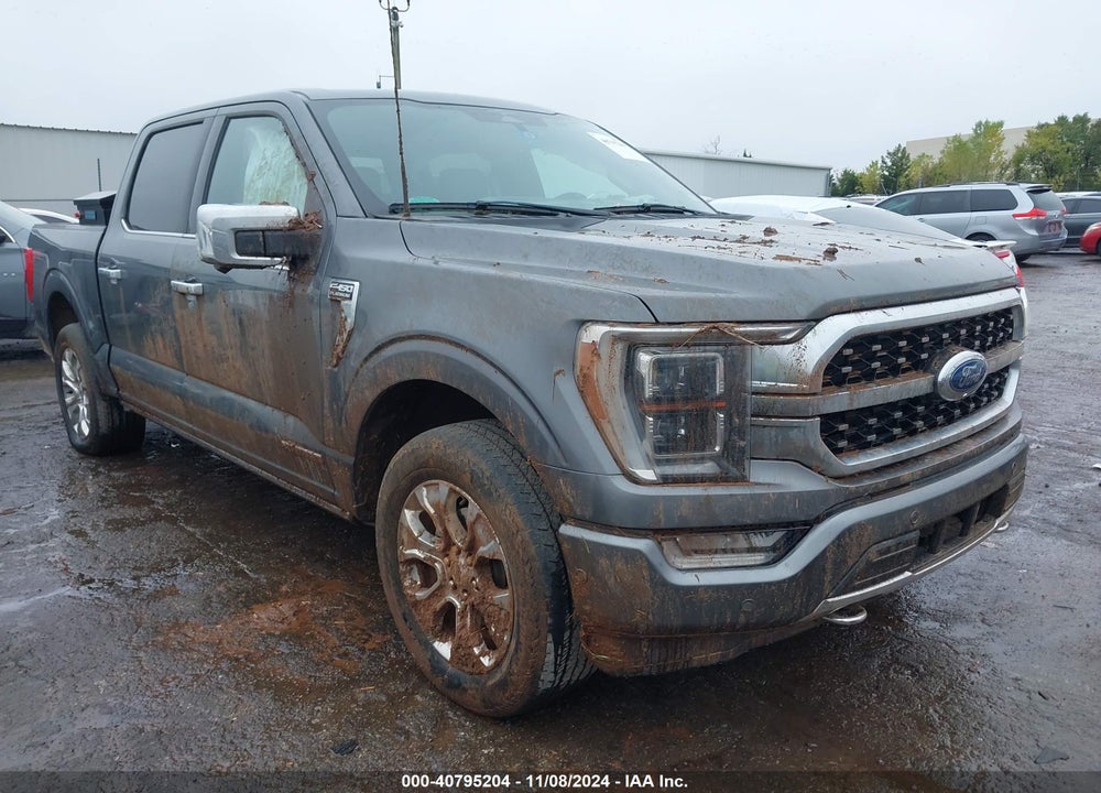 2023 FORD F-150 PLATINUM VIN: 1FTFW1ED3PFA27310