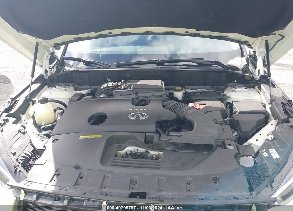 2019 INFINITI QX50 LUXE VIN: 3PCAJ5M10KF132343