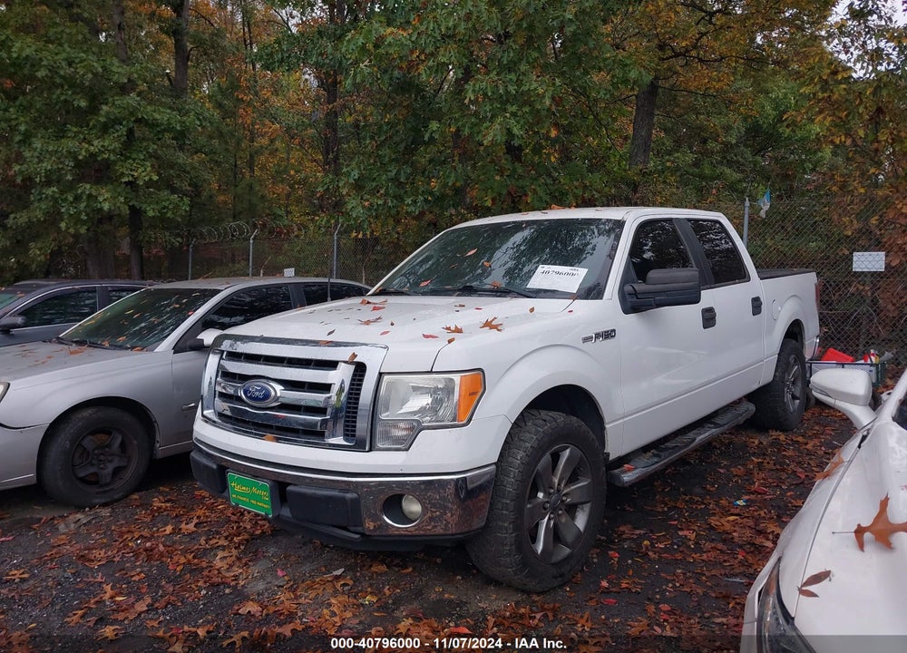 2011 FORD F-150 XLT VIN: 1FTFW1CF6BFA78295