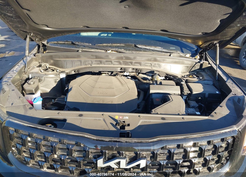 2024 KIA TELLURIDE EX X-LINE VIN: 5XYP3DGC1RG545046