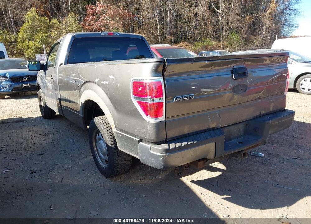2010 FORD F-150 STX/XL/XLT VIN: 1FTMF1CW5AKE62095
