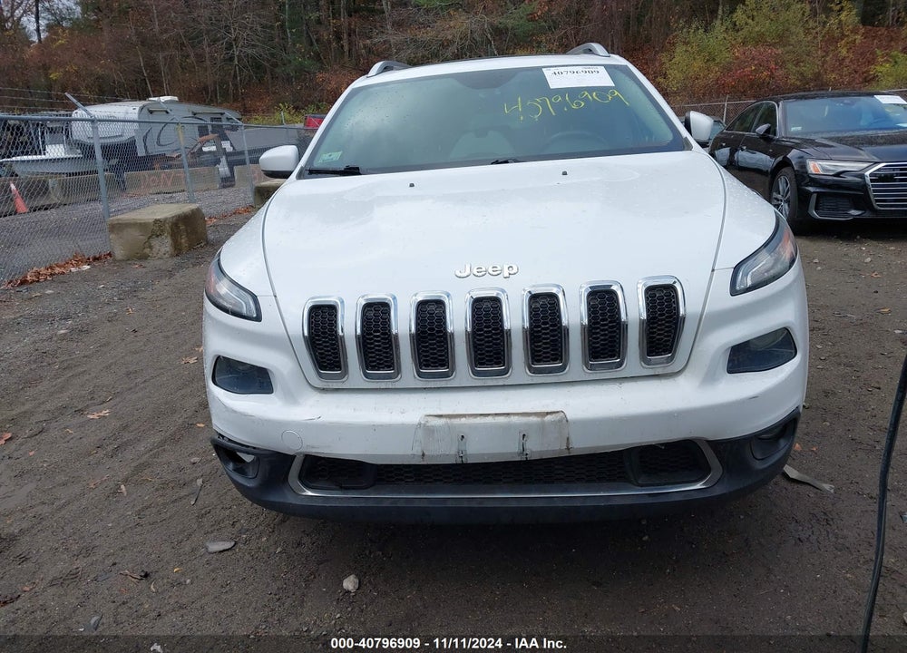 2014 JEEP CHEROKEE LIMITED VIN: 1C4PJMDS1EW219309
