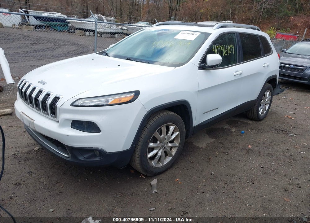 2014 JEEP CHEROKEE LIMITED VIN: 1C4PJMDS1EW219309