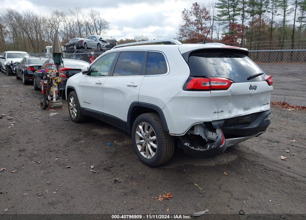 2014 JEEP CHEROKEE LIMITED VIN: 1C4PJMDS1EW219309