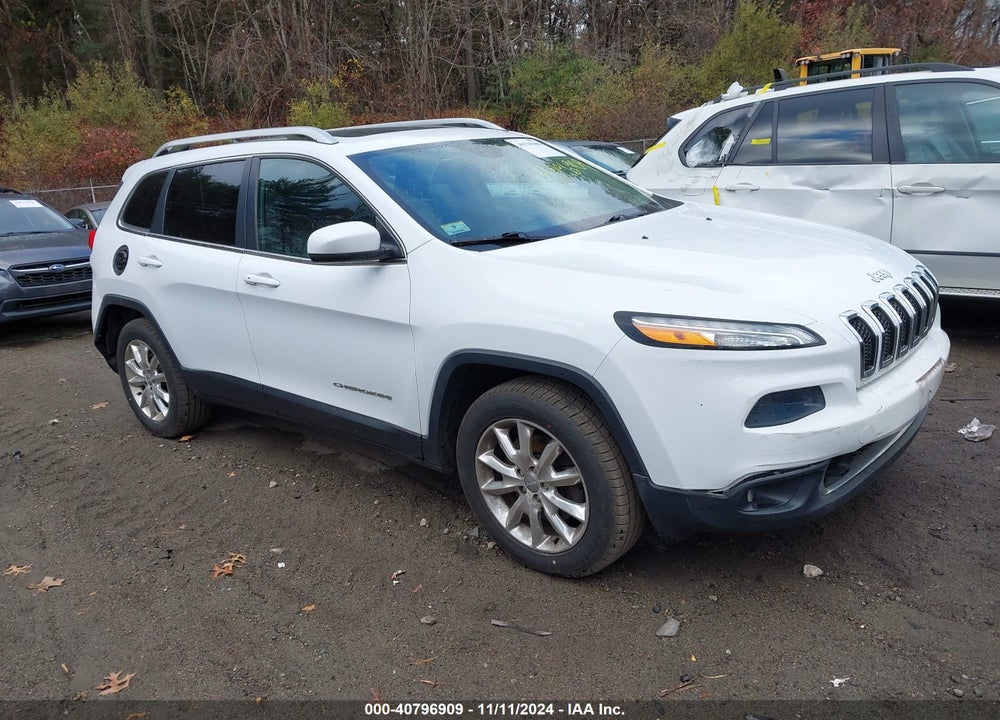 2014 JEEP CHEROKEE LIMITED VIN: 1C4PJMDS1EW219309
