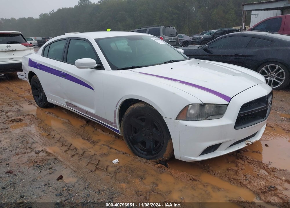 2013 DODGE CHARGER POLICE VIN: 2C3CDXAG1DH568303