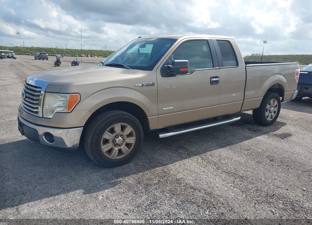 2011 FORD F-150 XLT VIN: 1FTFX1CT3BFB14611