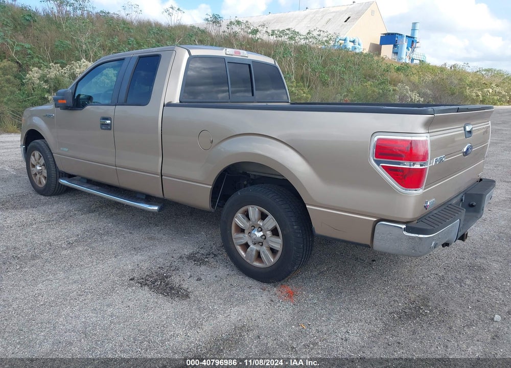 2011 FORD F-150 XLT VIN: 1FTFX1CT3BFB14611