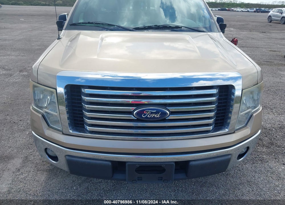 2011 FORD F-150 XLT VIN: 1FTFX1CT3BFB14611