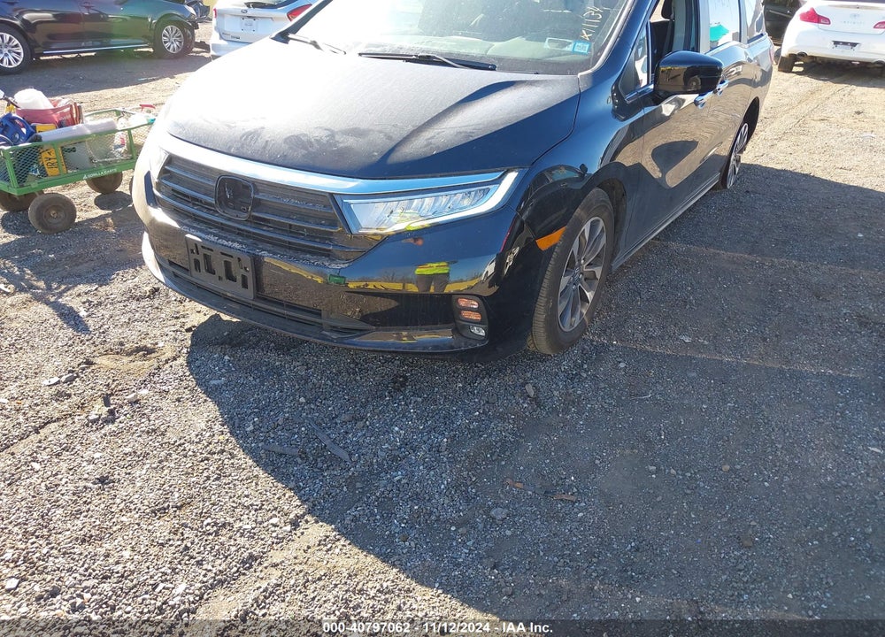2024 HONDA ODYSSEY EX-L VIN: 5FNRL6H60RB062832