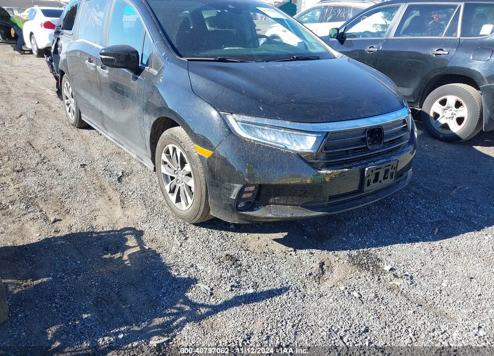 2024 HONDA ODYSSEY EX-L VIN: 5FNRL6H60RB062832