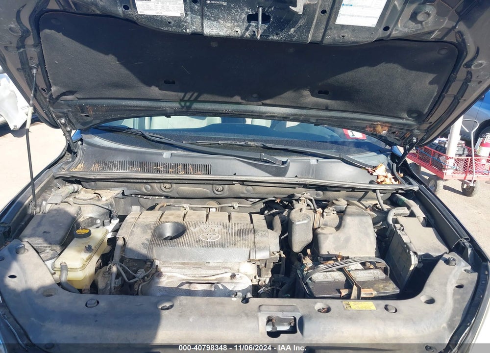 2010 TOYOTA RAV4 VIN: 2T3BF4DV5AW056484